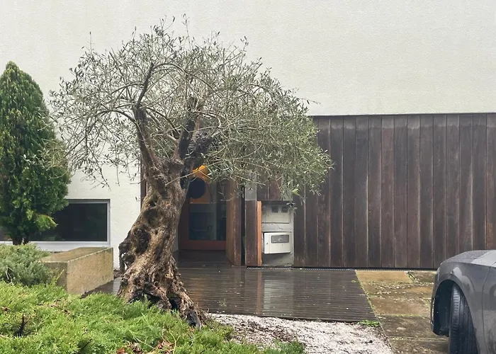 בית אירוח Gloria's Design House *